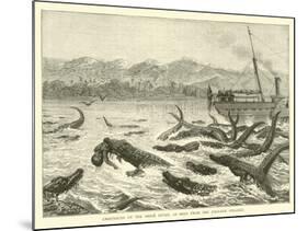 Crocodiles on the Shire River, as Seen from the Pioneer Steamer-null-Mounted Giclee Print