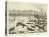 Crocodiles on the Shire River, as Seen from the Pioneer Steamer-null-Stretched Canvas