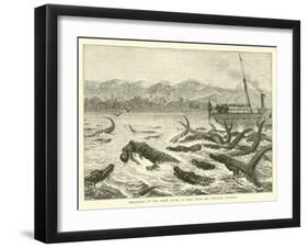 Crocodiles on the Shire River, as Seen from the Pioneer Steamer-null-Framed Giclee Print