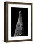 Crocodylus Cataphractus (African Slender-Snouted Crocodile) - Snout-Paul Starosta-Framed Photographic Print