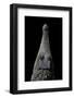 Crocodylus Cataphractus (African Slender-Snouted Crocodile) - Snout-Paul Starosta-Framed Photographic Print