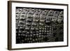 Crocodylus Porosus (Saltwater Crocodile) - Scales-Paul Starosta-Framed Photographic Print