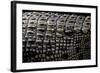 Crocodylus Porosus (Saltwater Crocodile) - Scales-Paul Starosta-Framed Photographic Print