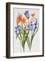 Crocosmia and Agapanthus-Sally Crosthwaite-Framed Giclee Print