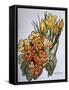 Crocus and Primroses-Joan Thewsey-Framed Stretched Canvas