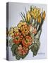 Crocus and Primroses-Joan Thewsey-Stretched Canvas