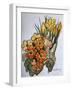 Crocus and Primroses-Joan Thewsey-Framed Giclee Print