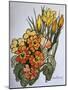 Crocus and Primroses-Joan Thewsey-Mounted Giclee Print