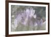 Crocus Blur I-Malcolm Sanders-Framed Giclee Print