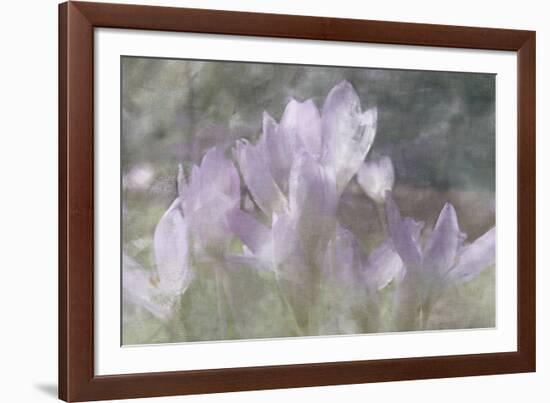 Crocus Blur I-Malcolm Sanders-Framed Giclee Print