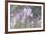 Crocus Blur I-Malcolm Sanders-Framed Giclee Print