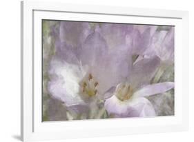 Crocus Blur II-Malcolm Sanders-Framed Giclee Print