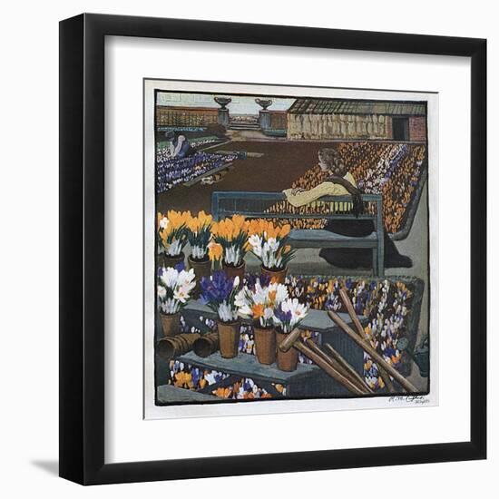 Crocus Garden 1904-R M Eissler-Framed Art Print