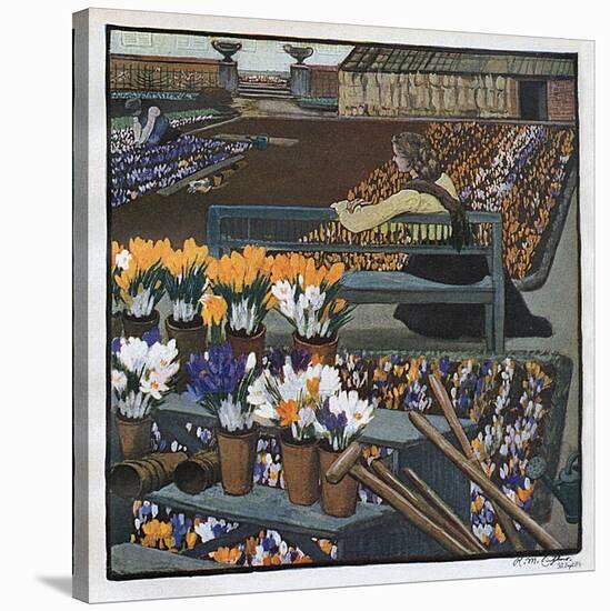 Crocus Garden 1904-R M Eissler-Stretched Canvas