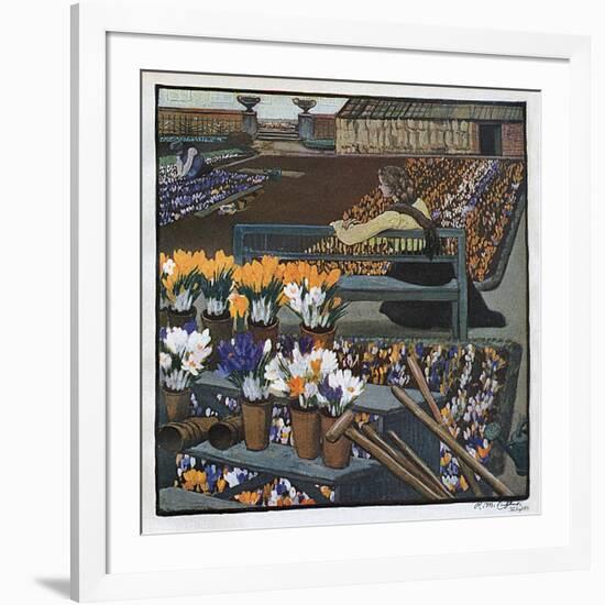 Crocus Garden 1904-R M Eissler-Framed Art Print