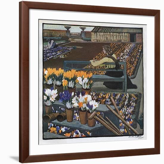 Crocus Garden 1904-R M Eissler-Framed Art Print