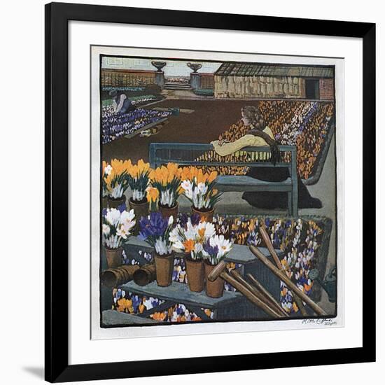 Crocus Garden 1904-R M Eissler-Framed Art Print