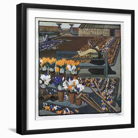 Crocus Garden 1904-R M Eissler-Framed Art Print