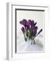 Crocus in the Snow-Nancy Rotenberg-Framed Photographic Print