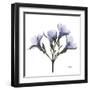 Crocus's in Purple-Albert Koetsier-Framed Art Print