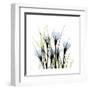 Crocus Square-Albert Koetsier-Framed Art Print