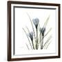 Crocus Whisper-Albert Koetsier-Framed Art Print