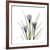 Crocus Whisper-Albert Koetsier-Framed Art Print