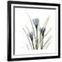 Crocus Whisper-Albert Koetsier-Framed Art Print