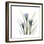 Crocus Whisper-Albert Koetsier-Framed Art Print