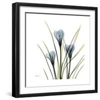 Crocus Whisper-Albert Koetsier-Framed Art Print