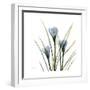 Crocus Whisper-Albert Koetsier-Framed Art Print