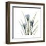 Crocus Whisper-Albert Koetsier-Framed Art Print