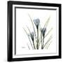 Crocus Whisper-Albert Koetsier-Framed Art Print