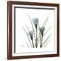 Crocus Whisper-Albert Koetsier-Framed Art Print