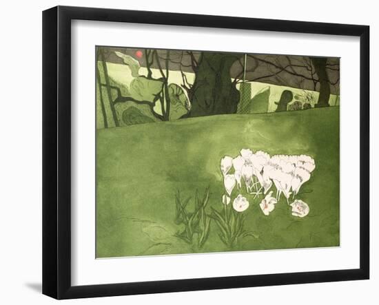 Crocus-Valerie Daniel-Framed Giclee Print