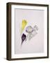 Crocus-Sarah Creswell-Framed Giclee Print