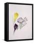 Crocus-Sarah Creswell-Framed Stretched Canvas