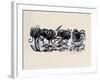 Crocus-Linda Arthurs-Framed Giclee Print