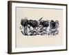 Crocus-Linda Arthurs-Framed Giclee Print