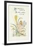 Crocus-Walter Crane-Framed Premium Giclee Print