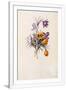 Gramercy White