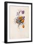 Black Frame