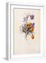 White Frame
