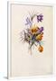 Gramercy White