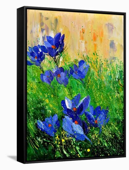 Crocuses-Pol Ledent-Framed Stretched Canvas