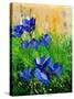 Crocuses-Pol Ledent-Stretched Canvas