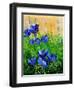 Crocuses-Pol Ledent-Framed Art Print