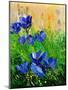 Crocuses-Pol Ledent-Mounted Art Print