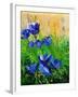 Crocuses-Pol Ledent-Framed Art Print