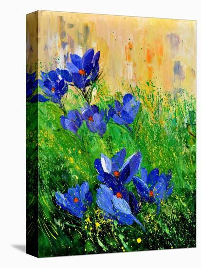 Crocuses-Pol Ledent-Stretched Canvas